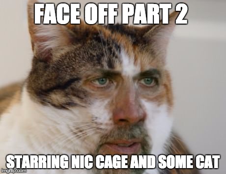 Nic Cage and Cat Star in Face Off Part 2 | FACE OFF PART 2; STARRING NIC CAGE AND SOME CAT | image tagged in cat,movies,nicolas cage | made w/ Imgflip meme maker