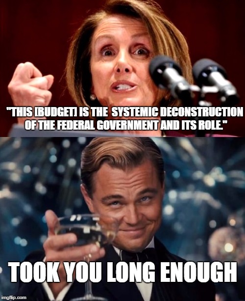 Pelosi finally got something right | "THIS [BUDGET] IS THE  SYSTEMIC DECONSTRUCTION OF THE FEDERAL GOVERNMENT AND ITS ROLE."; TOOK YOU LONG ENOUGH | image tagged in pelosi,budget | made w/ Imgflip meme maker