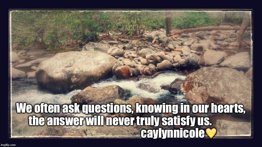 Why do we ask those questions.  | We often ask questions, knowing in our hearts, the answer will never truly satisfy us.                                                        caylynnicole💛 | image tagged in life lessons,questions,hearts | made w/ Imgflip meme maker