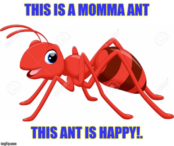 THIS IS A MOMMA ANT THIS ANT IS HAPPY!. | made w/ Imgflip meme maker