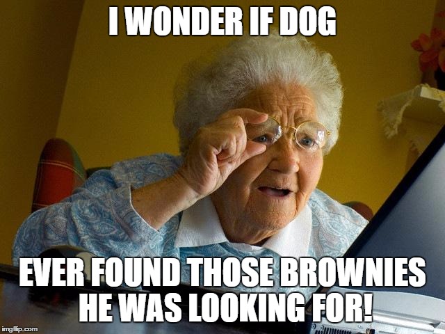 Grandma Finds The Internet Meme | I WONDER IF DOG EVER FOUND THOSE BROWNIES HE WAS LOOKING FOR! | image tagged in memes,grandma finds the internet | made w/ Imgflip meme maker