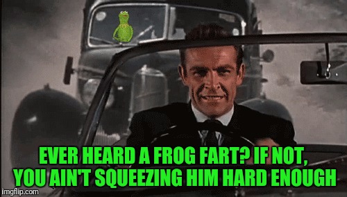 Is it Connery vs Kermit or is it Kermit vs Connery?  Anyone up for a theme week on that? | EVER HEARD A FROG FART? IF NOT, YOU AIN'T SQUEEZING HIM HARD ENOUGH | image tagged in connery vs kermit,memes,kermit vs connery | made w/ Imgflip meme maker