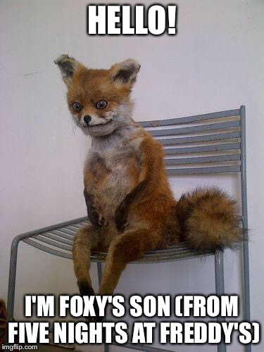 broke fox | HELLO! I'M FOXY'S SON (FROM FIVE NIGHTS AT FREDDY'S) | image tagged in broke fox | made w/ Imgflip meme maker