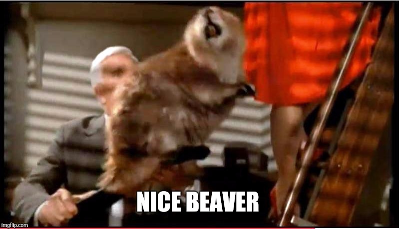 NICE BEAVER | made w/ Imgflip meme maker