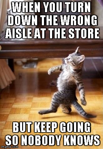 Cool Cat Stroll | WHEN YOU TURN DOWN THE WRONG AISLE AT THE STORE; BUT KEEP GOING SO NOBODY KNOWS | image tagged in memes,cool cat stroll | made w/ Imgflip meme maker