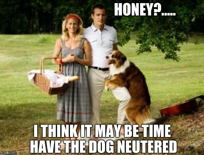 Awkward! | HONEY?..... I THINK IT MAY BE TIME HAVE THE DOG NEUTERED | image tagged in oh,yeah,memes | made w/ Imgflip meme maker
