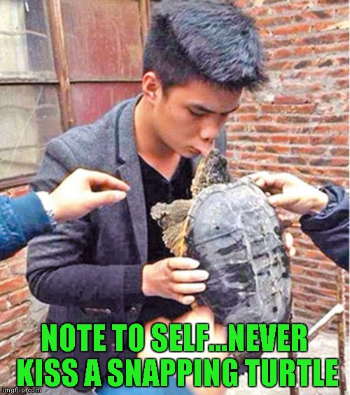 NOTE TO SELF...NEVER KISS A SNAPPING TURTLE | made w/ Imgflip meme maker