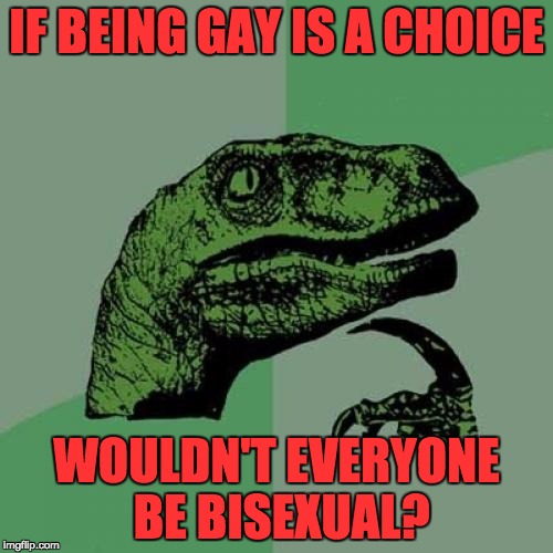 Philosoraptor | IF BEING GAY IS A CHOICE; WOULDN'T EVERYONE BE BISEXUAL? | image tagged in memes,philosoraptor | made w/ Imgflip meme maker