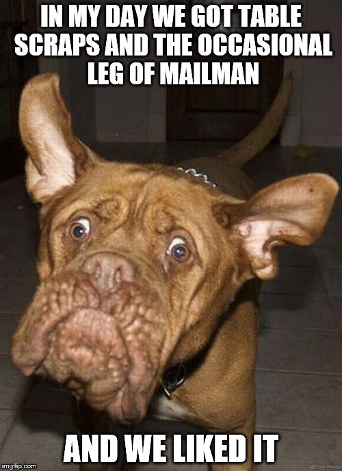 Not advocating feeding your dog mail carriers! | IN MY DAY WE GOT TABLE SCRAPS AND THE OCCASIONAL LEG OF MAILMAN; AND WE LIKED IT | image tagged in memes,dogs,whats a blue buffalo | made w/ Imgflip meme maker