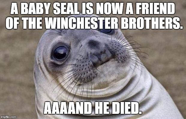 Awkward Moment Sealion Meme | A BABY SEAL IS NOW A FRIEND OF THE WINCHESTER BROTHERS. AAAAND HE DIED. | image tagged in memes,awkward moment sealion,dean winchester,sam winchester | made w/ Imgflip meme maker