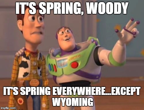 X, X Everywhere Meme | IT'S SPRING, WOODY; IT'S SPRING EVERYWHERE...EXCEPT WYOMING | image tagged in memes,x x everywhere | made w/ Imgflip meme maker