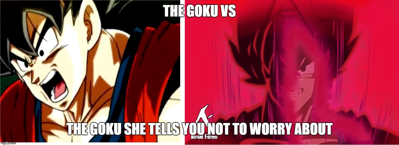 THE GOKU VS; THE GOKU SHE TELLS YOU NOT TO WORRY ABOUT | image tagged in dragonball super | made w/ Imgflip meme maker