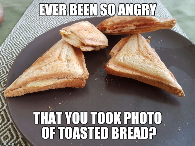 EVER BEEN SO ANGRY; THAT YOU TOOK PHOTO OF TOASTED BREAD? | image tagged in toast | made w/ Imgflip meme maker