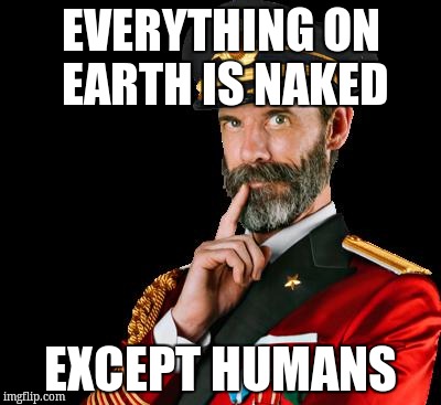 captain obvious | EVERYTHING ON EARTH IS NAKED; EXCEPT HUMANS | image tagged in captain obvious | made w/ Imgflip meme maker