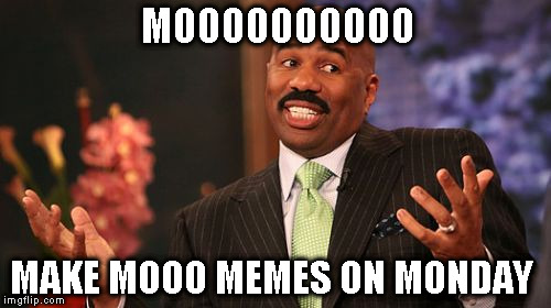 Steve Harvey Meme | MOOOOOOOOOO; MAKE MOOO MEMES ON MONDAY | image tagged in memes,steve harvey | made w/ Imgflip meme maker