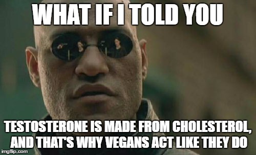 Matrix Morpheus Meme | WHAT IF I TOLD YOU TESTOSTERONE IS MADE FROM CHOLESTEROL, AND THAT'S WHY VEGANS ACT LIKE THEY DO | image tagged in memes,matrix morpheus | made w/ Imgflip meme maker
