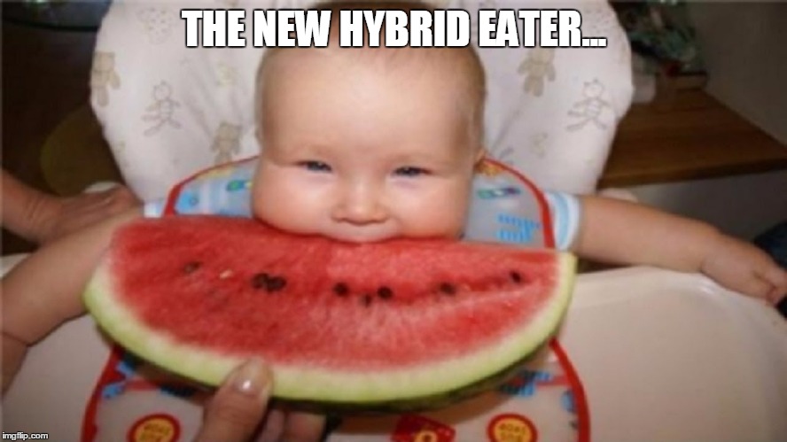 THE NEW HYBRID EATER... | image tagged in watermaeon babe | made w/ Imgflip meme maker