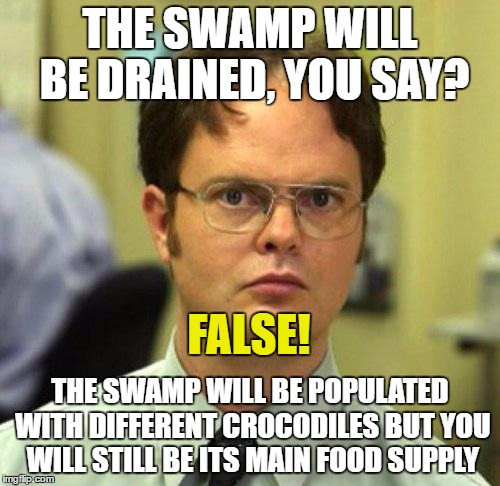 Swamped? | THE SWAMP WILL BE DRAINED, YOU SAY? FALSE! THE SWAMP WILL BE POPULATED WITH DIFFERENT CROCODILES BUT YOU WILL STILL BE ITS MAIN FOOD SUPPLY | image tagged in false,drain the swamp,donald trump,politics | made w/ Imgflip meme maker