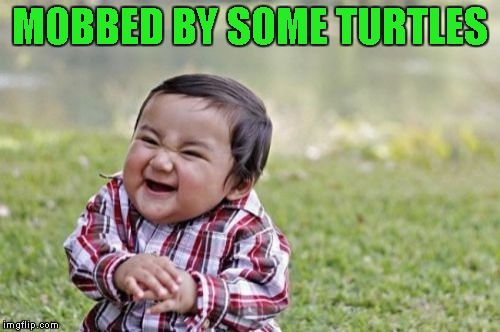 Evil Toddler Meme | MOBBED BY SOME TURTLES | image tagged in memes,evil toddler | made w/ Imgflip meme maker