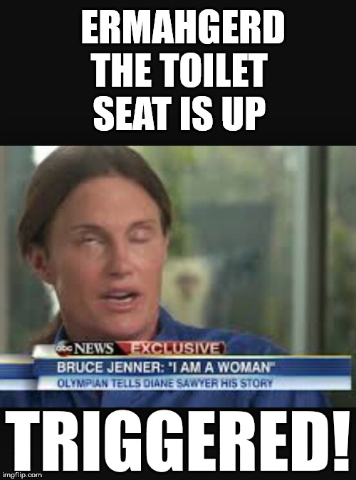 Caitlyn Jenner first time | ERMAHGERD THE
TOILET  SEAT IS UP; TRIGGERED! | image tagged in caitlyn jenner first time | made w/ Imgflip meme maker