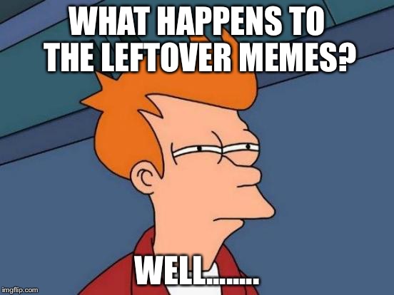 Futurama Fry | WHAT HAPPENS TO THE LEFTOVER MEMES? WELL........ | image tagged in memes,futurama fry | made w/ Imgflip meme maker