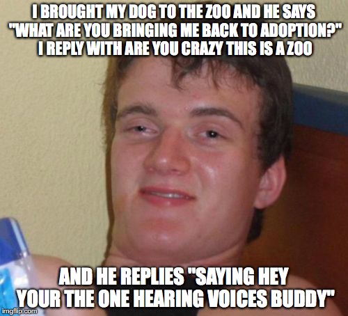 10 Guy | I BROUGHT MY DOG TO THE ZOO AND HE SAYS "WHAT ARE YOU BRINGING ME BACK TO ADOPTION?" I REPLY WITH ARE YOU CRAZY THIS IS A ZOO; AND HE REPLIES "SAYING HEY YOUR THE ONE HEARING VOICES BUDDY" | image tagged in memes,10 guy | made w/ Imgflip meme maker