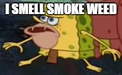 Spongegar | I SMELL SMOKE WEED | image tagged in memes,spongegar | made w/ Imgflip meme maker