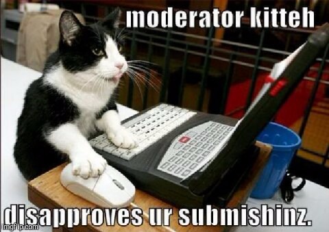 Kitty mod dis approves | image tagged in kitty,memes,mods | made w/ Imgflip meme maker