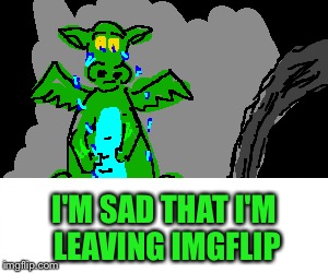 But it's time to go. | I'M SAD THAT I'M LEAVING IMGFLIP | image tagged in memes,dragon | made w/ Imgflip meme maker