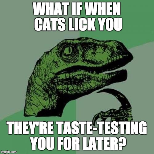 I'm still alive, so obviously I taste awful | WHAT IF WHEN CATS LICK YOU; THEY'RE TASTE-TESTING YOU FOR LATER? | image tagged in memes,philosoraptor,cannibal cats | made w/ Imgflip meme maker