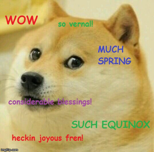 Equinox Doge | image tagged in doge,spring,equinox,celebrate,celebration,wow | made w/ Imgflip meme maker