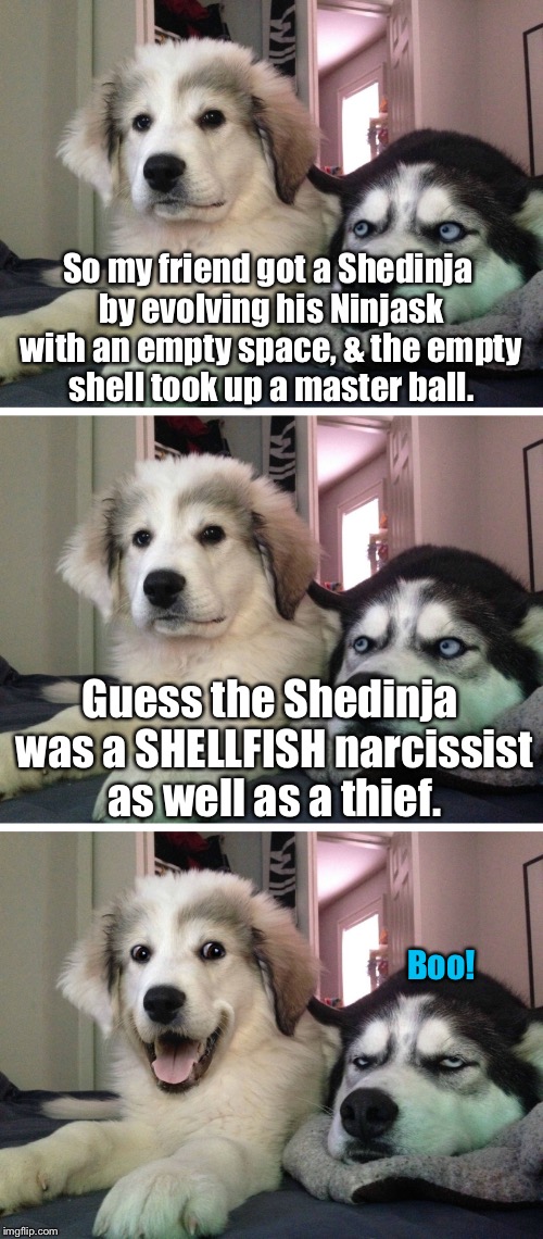 :') | So my friend got a Shedinja by evolving his Ninjask with an empty space, & the empty shell took up a master ball. Guess the Shedinja was a SHELLFISH narcissist as well as a thief. Boo! | image tagged in bad pun dogs,pokemon,memes | made w/ Imgflip meme maker