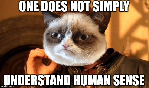 ONE DOES NOT SIMPLY UNDERSTAND HUMAN SENSE | made w/ Imgflip meme maker