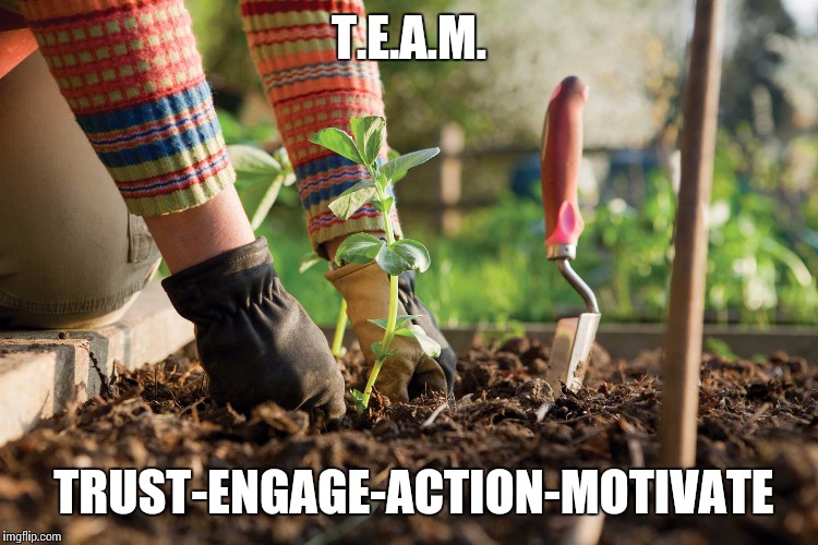 Gardening | T.E.A.M. TRUST-ENGAGE-ACTION-MOTIVATE | image tagged in gardening | made w/ Imgflip meme maker