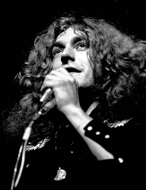 Robert Plant Blank Meme Template