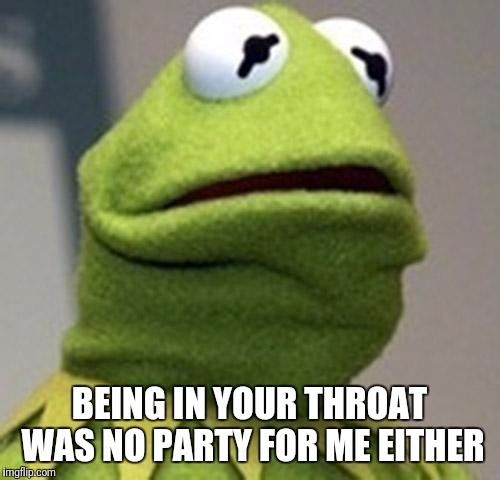 Kermit The Frog | BEING IN YOUR THROAT WAS NO PARTY FOR ME EITHER | image tagged in kermit the frog | made w/ Imgflip meme maker