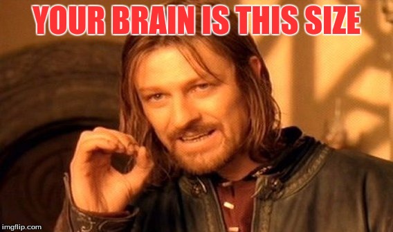 One Does Not Simply | YOUR BRAIN IS THIS SIZE | image tagged in memes,one does not simply | made w/ Imgflip meme maker