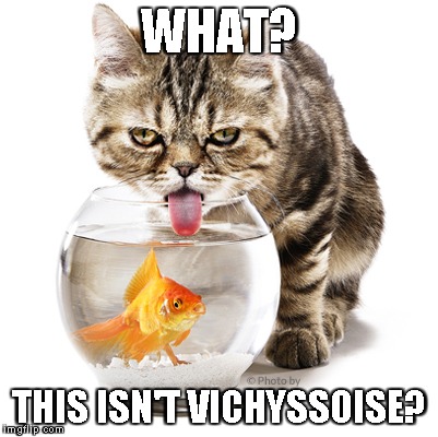 Aaaaand I just crashed dictionary.com. | WHAT? THIS ISN'T VICHYSSOISE? | image tagged in cat drinking from fishbowl | made w/ Imgflip meme maker