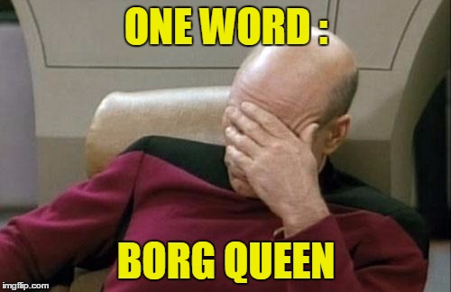 Captain Picard Facepalm Meme | ONE WORD : BORG QUEEN | image tagged in memes,captain picard facepalm | made w/ Imgflip meme maker