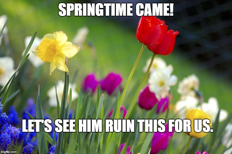 Spring  | SPRINGTIME CAME! LET'S SEE HIM RUIN THIS FOR US. | image tagged in spring | made w/ Imgflip meme maker