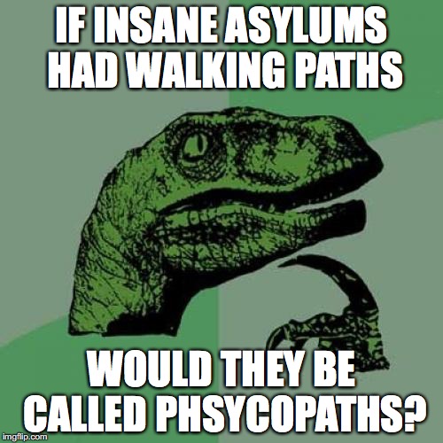 Philosoraptor | IF INSANE ASYLUMS HAD WALKING PATHS; WOULD THEY BE CALLED PHSYCOPATHS? | image tagged in memes,philosoraptor | made w/ Imgflip meme maker