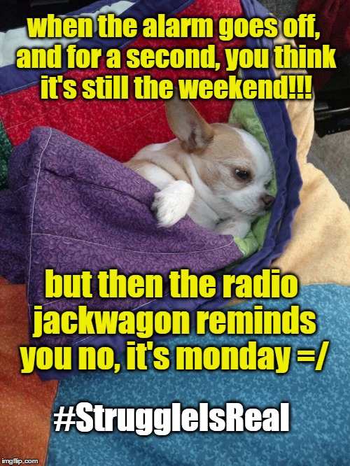 mondays | when the alarm goes off, and for a second, you think it's still the weekend!!! but then the radio jackwagon reminds you no, it's monday =/; #StruggleIsReal | image tagged in sleep,struggle,radio | made w/ Imgflip meme maker