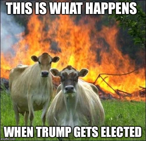 Evil Cows | THIS IS WHAT HAPPENS; WHEN TRUMP GETS ELECTED | image tagged in memes,evil cows | made w/ Imgflip meme maker
