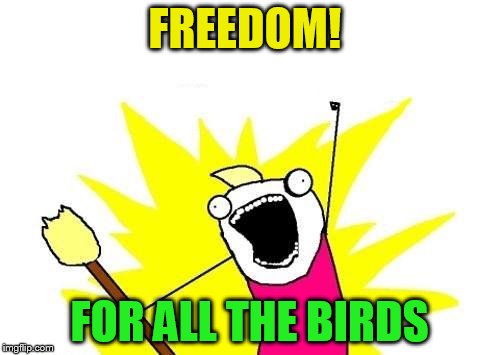 X All The Y Meme | FREEDOM! FOR ALL THE BIRDS | image tagged in memes,x all the y | made w/ Imgflip meme maker