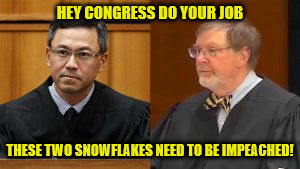 snowflake judges | HEY CONGRESS DO YOUR JOB; THESE TWO SNOWFLAKES NEED TO BE IMPEACHED! | image tagged in snowflake judges | made w/ Imgflip meme maker
