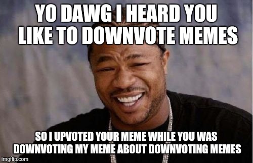 Dang downvoters | YO DAWG I HEARD YOU LIKE TO DOWNVOTE MEMES; SO I UPVOTED YOUR MEME WHILE YOU WAS DOWNVOTING MY MEME ABOUT DOWNVOTING MEMES | image tagged in memes,yo dawg heard you,downvotes,upvotes,it's raining downvotes | made w/ Imgflip meme maker