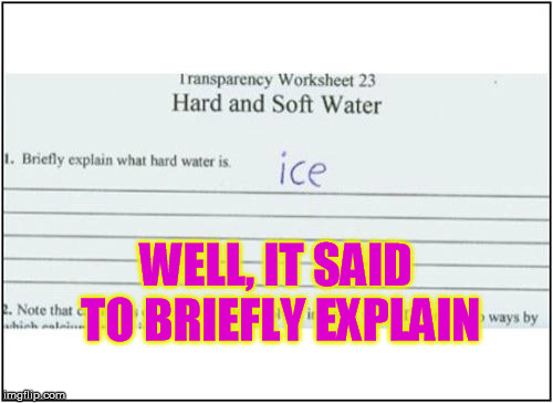 Funny Homework...cant be more brief than that. | WELL, IT SAID TO BRIEFLY EXPLAIN | image tagged in funny,homework,kids,funny homework,school | made w/ Imgflip meme maker