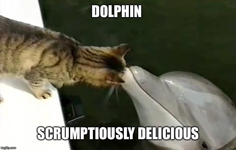 DOLPHIN SCRUMPTIOUSLY DELICIOUS | made w/ Imgflip meme maker