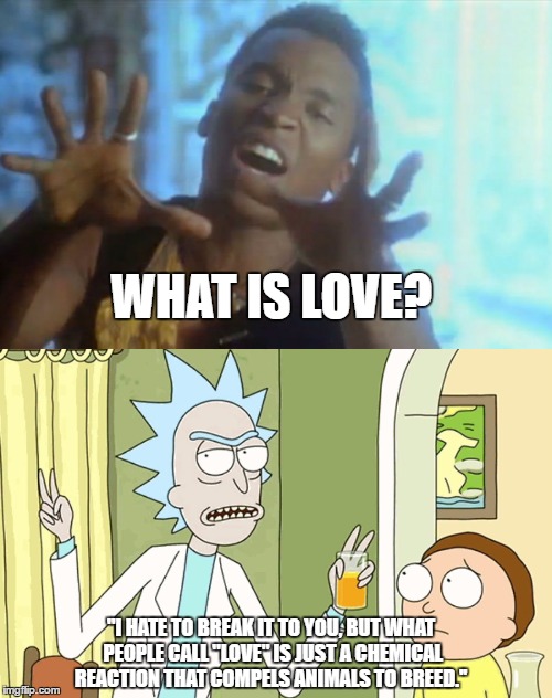 Love? | WHAT IS LOVE? ''I HATE TO BREAK IT TO YOU, BUT WHAT PEOPLE CALL "LOVE" IS JUST A CHEMICAL REACTION THAT COMPELS ANIMALS TO BREED.'' | image tagged in love,haddaway,rickmorty,adult swim,rick and morty,wubba lubba dub dub | made w/ Imgflip meme maker