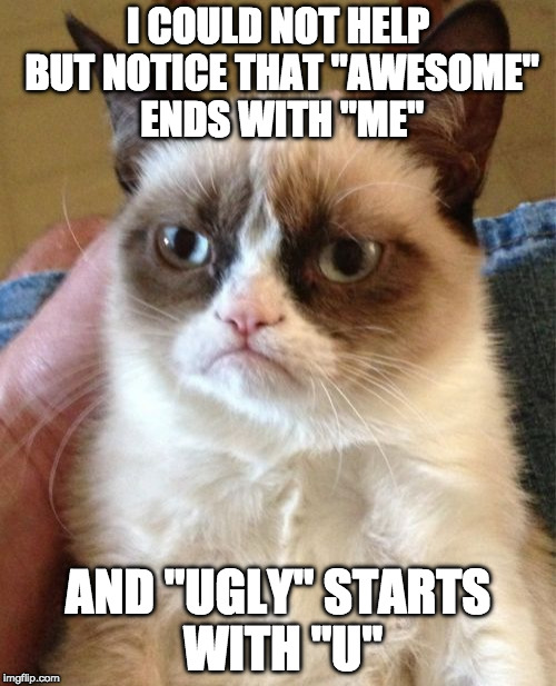 Grumpy Cat Meme | I COULD NOT HELP BUT NOTICE THAT "AWESOME" ENDS WITH "ME"; AND "UGLY" STARTS WITH "U" | image tagged in memes,grumpy cat | made w/ Imgflip meme maker